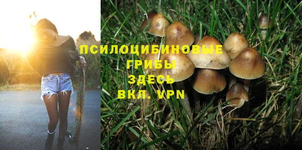 spice Горнозаводск