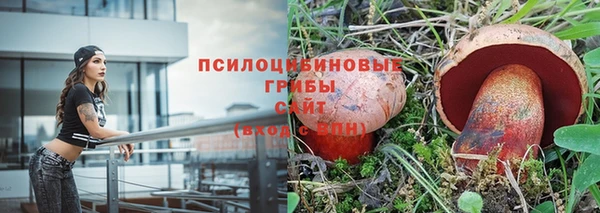 spice Горнозаводск