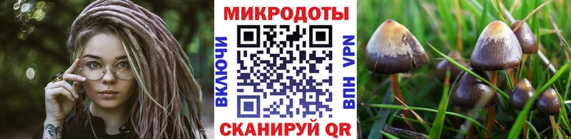 Купить  Балашов  Галлюциногенные грибы Cubensis 
